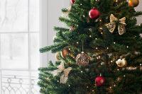 Image for Civic Carol Concert