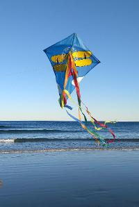 Image for Kite making at Souter Lighthouse