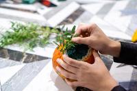 Image for Spider Themed Gardening Session