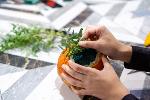 Image representing Spider Themed Gardening Session